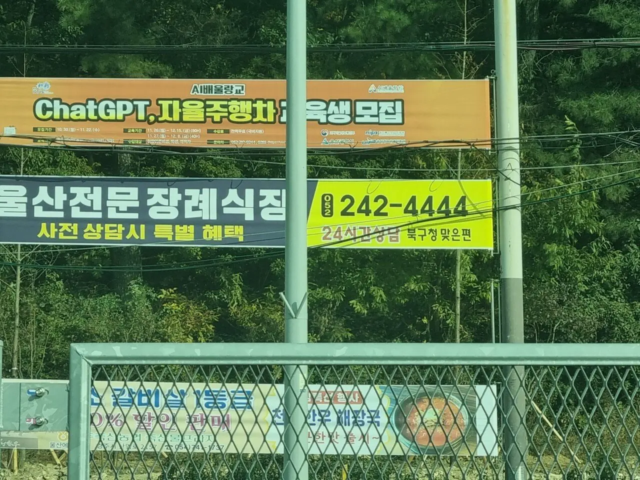 살벌한 전화번호 | mbong.kr 엠봉