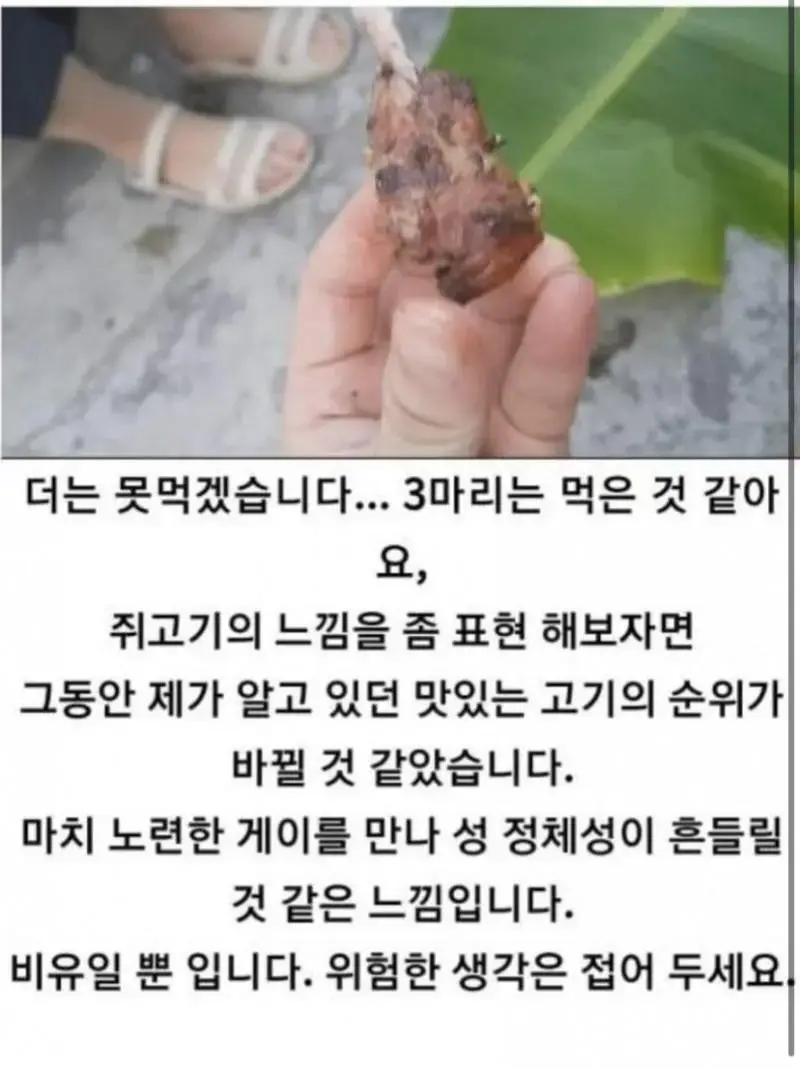 쥐고기를 먹어본 사람의 후기 | mbong.kr 엠봉