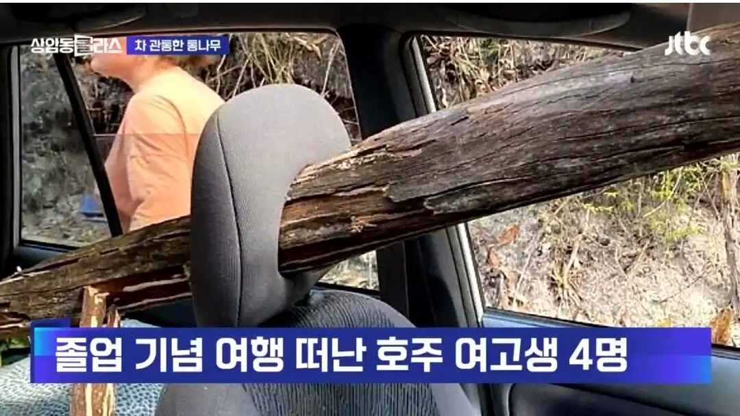 [통나무 뚜쉬뚜쉬] 통나무가 차량 유리 뚫고 '관통'… | mbong.kr 엠봉