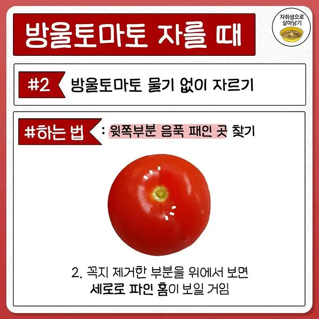 전혀몰랐던 토마토 자르는법.jpg | mbong.kr 엠봉