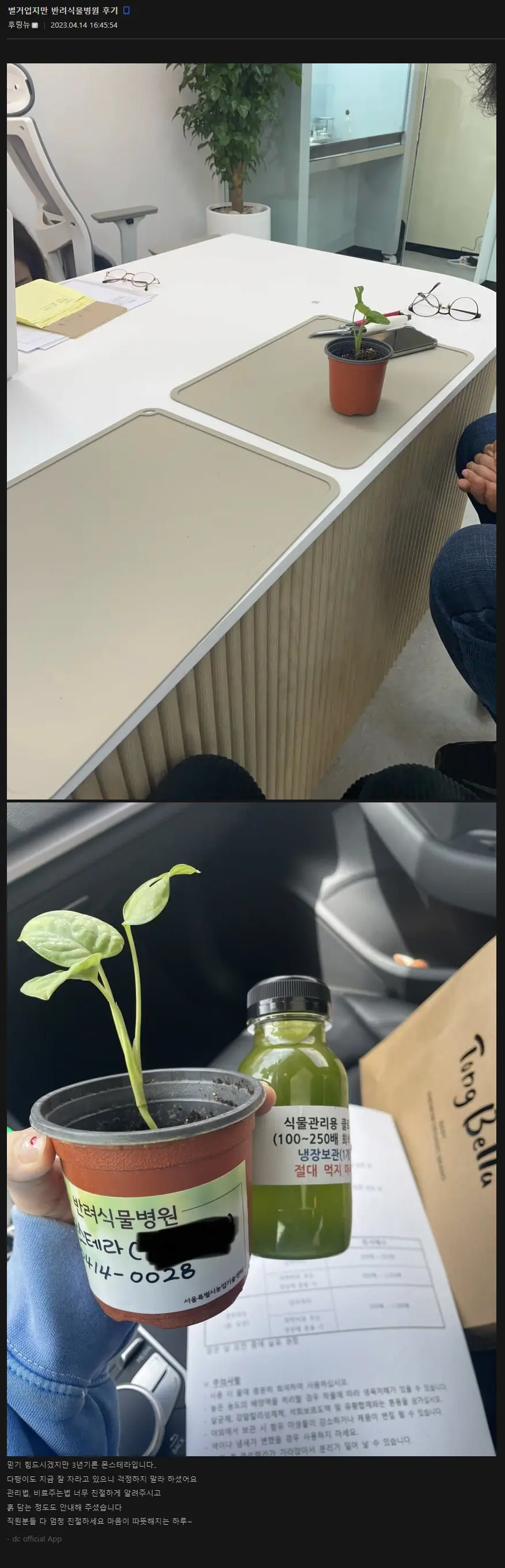 식물 갤러리의 반려식물병원 후기 | mbong.kr 엠봉
