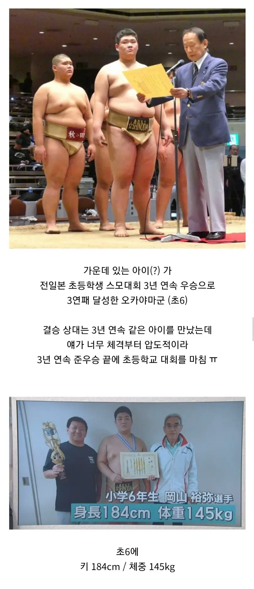 일본 초등학교 스모대회 3년 연속 우승자 수준 | mbong.kr 엠봉