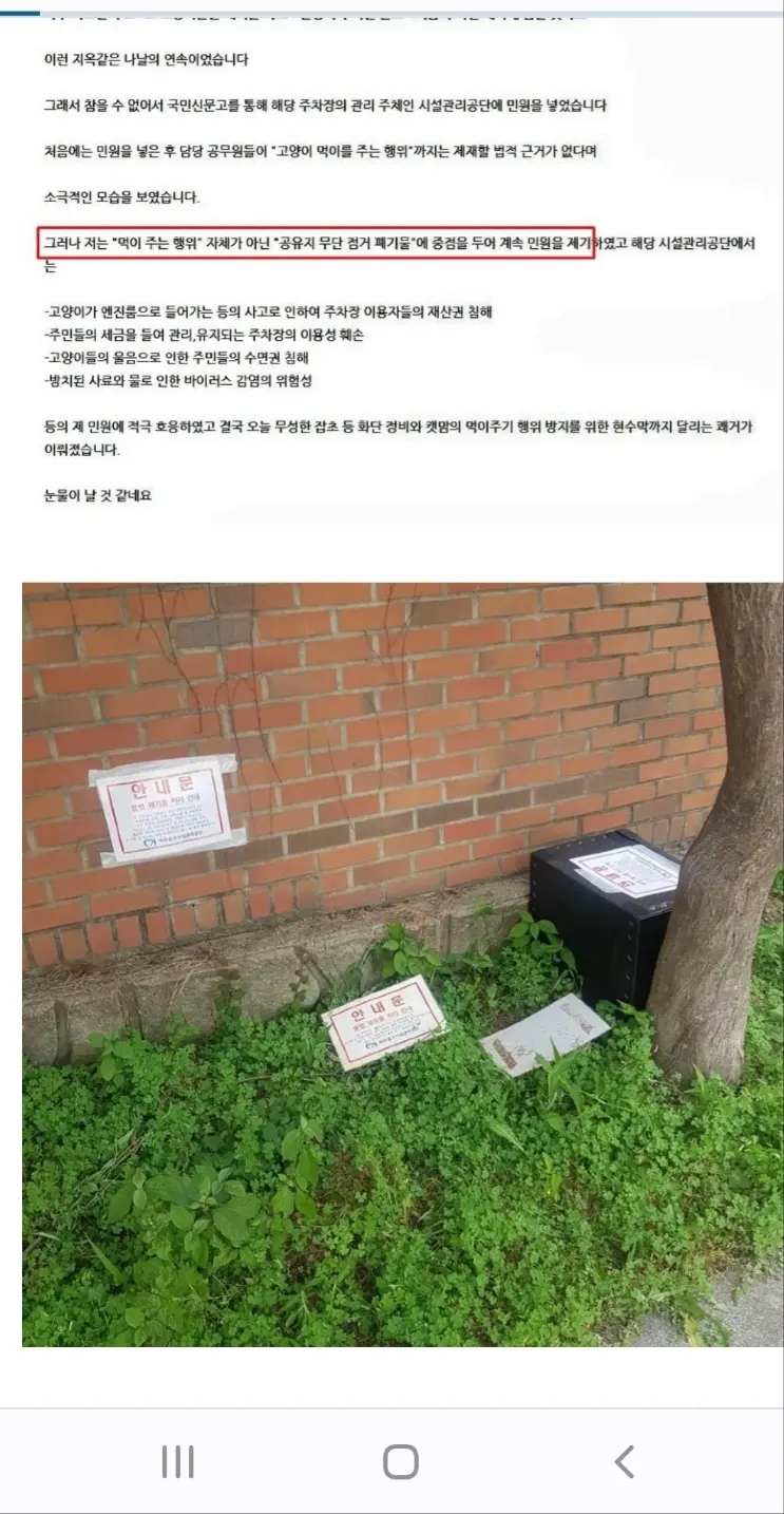 캣맘 대응 하는 방법 | mbong.kr 엠봉