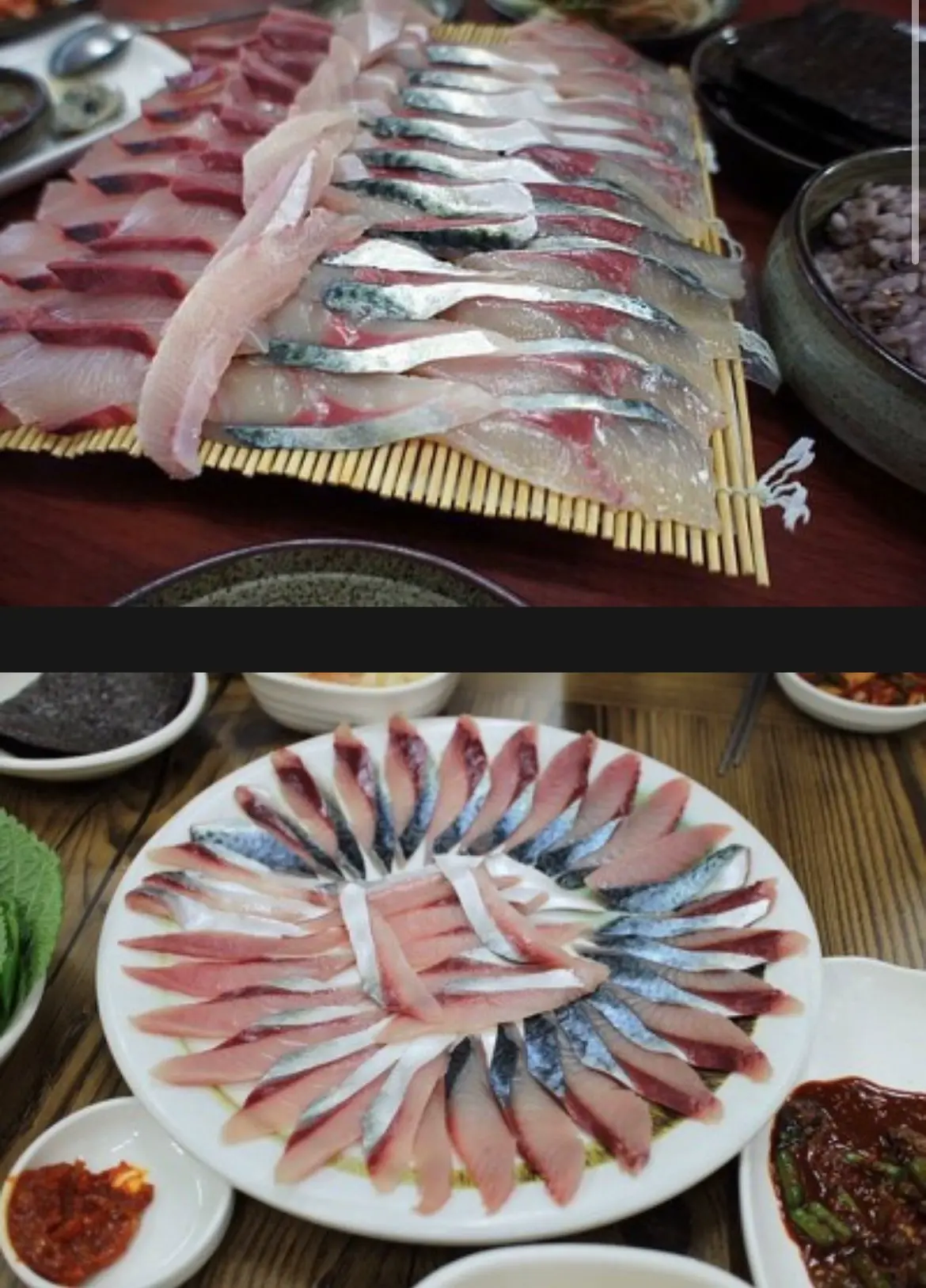 한국에서 가장 유명한 생선이지만 많은사람이 못먹어본 회 | mbong.kr 엠봉
