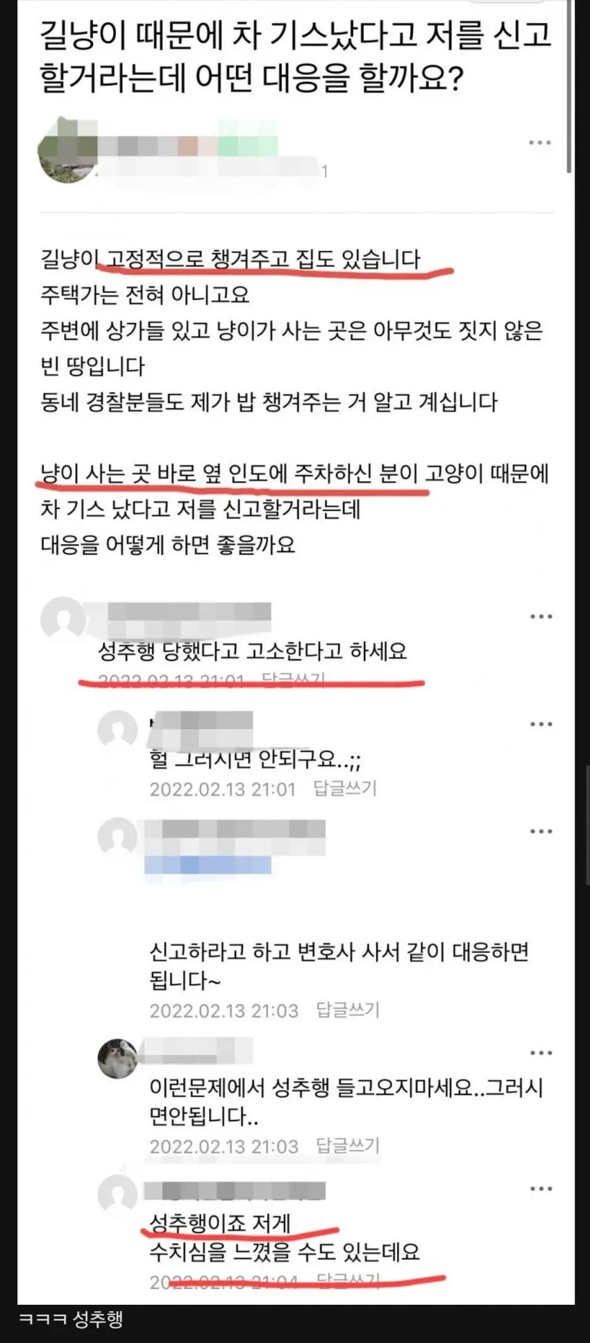 캣맘의 고소위기 대처법.jpg | mbong.kr 엠봉