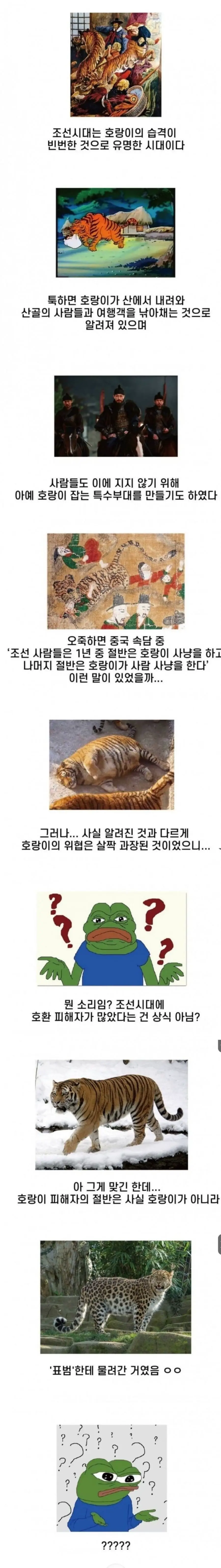 잘 몰랐던 조선시대 호랑이 이야기 ㄷ..JPG | mbong.kr 엠봉