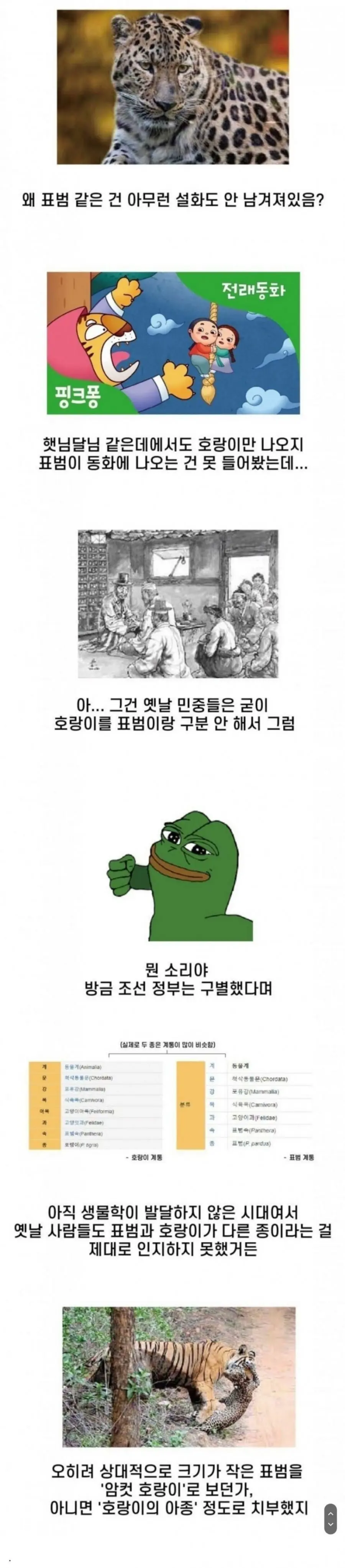 잘 몰랐던 조선시대 호랑이 이야기 ㄷ..JPG | mbong.kr 엠봉