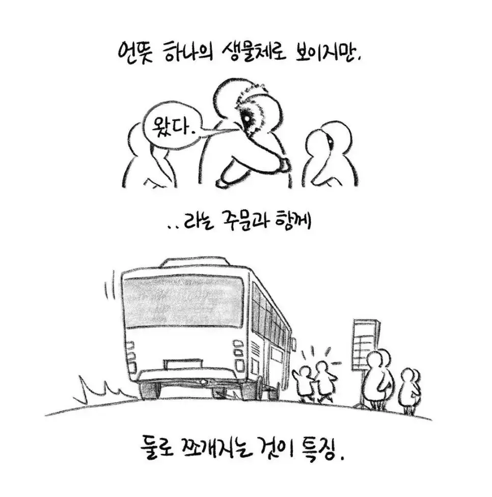 버스 정류장에서 발견된다는 눈사람.jpg | mbong.kr 엠봉
