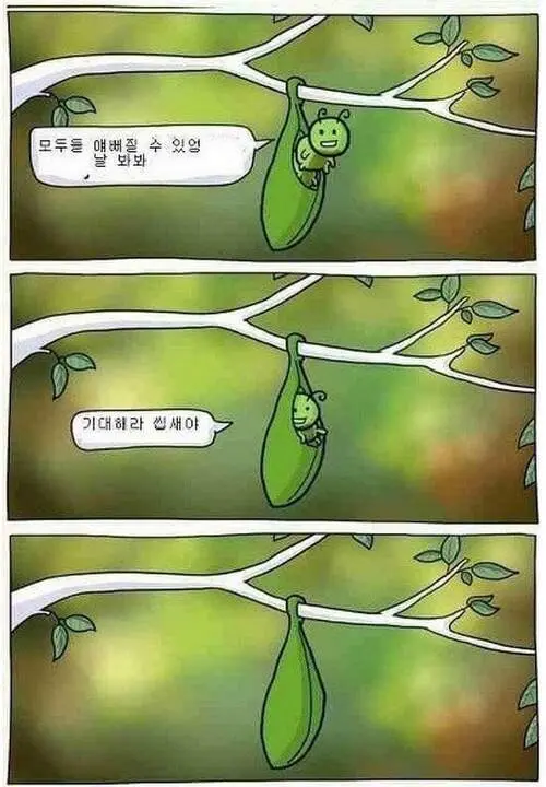 못생긴 이토징어들 위로하는 만화 | mbong.kr 엠봉