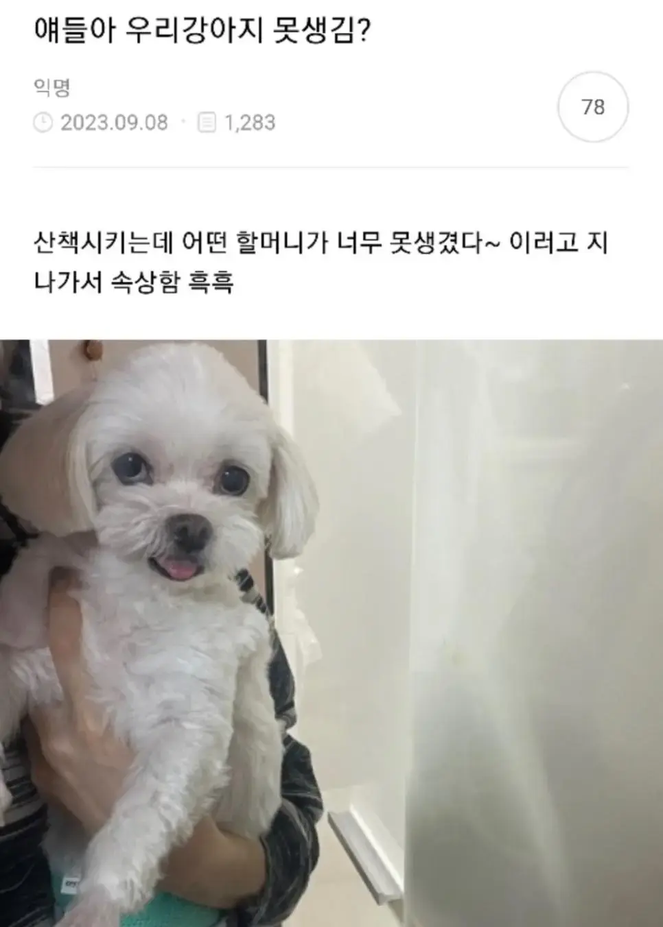 얘드라 우리 강아지 못생김? | mbong.kr 엠봉