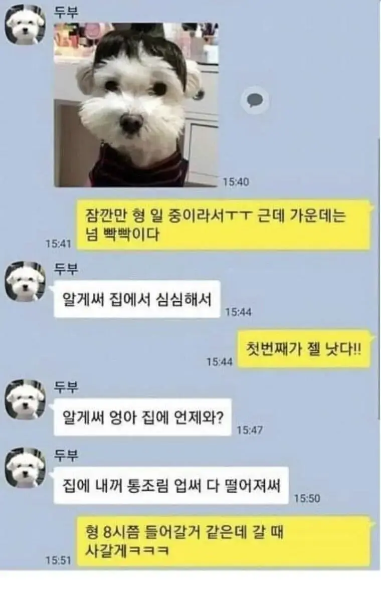 멈웅이랑 카톡 상상도 (feat. ㅈ냥이).jpg | mbong.kr 엠봉