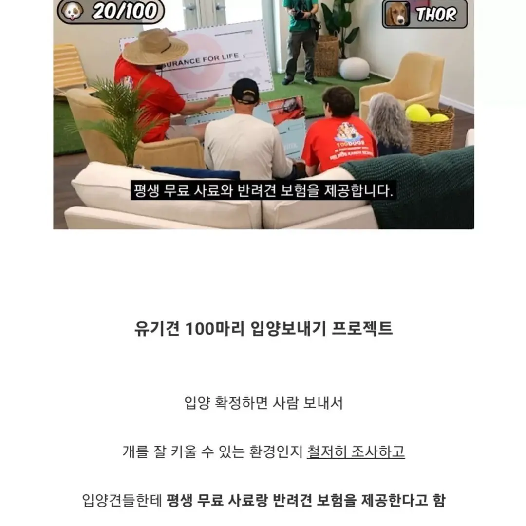 유투버가 유기견 100마리 가지고 한 일.jpg | mbong.kr 엠봉