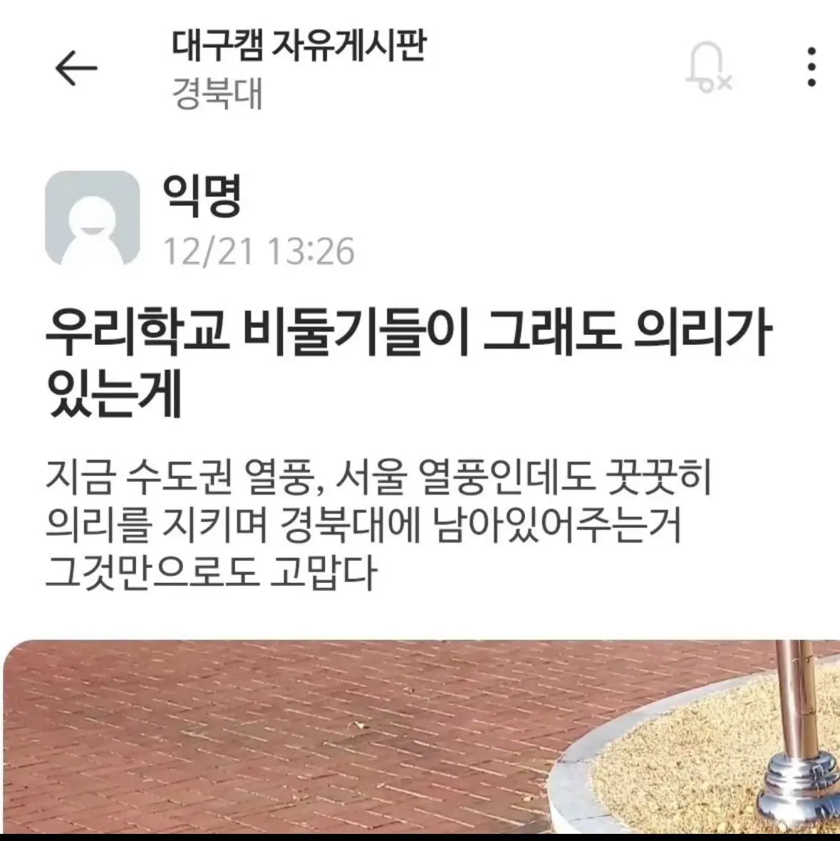 배신하지 않는 경북대 비둘기 | mbong.kr 엠봉