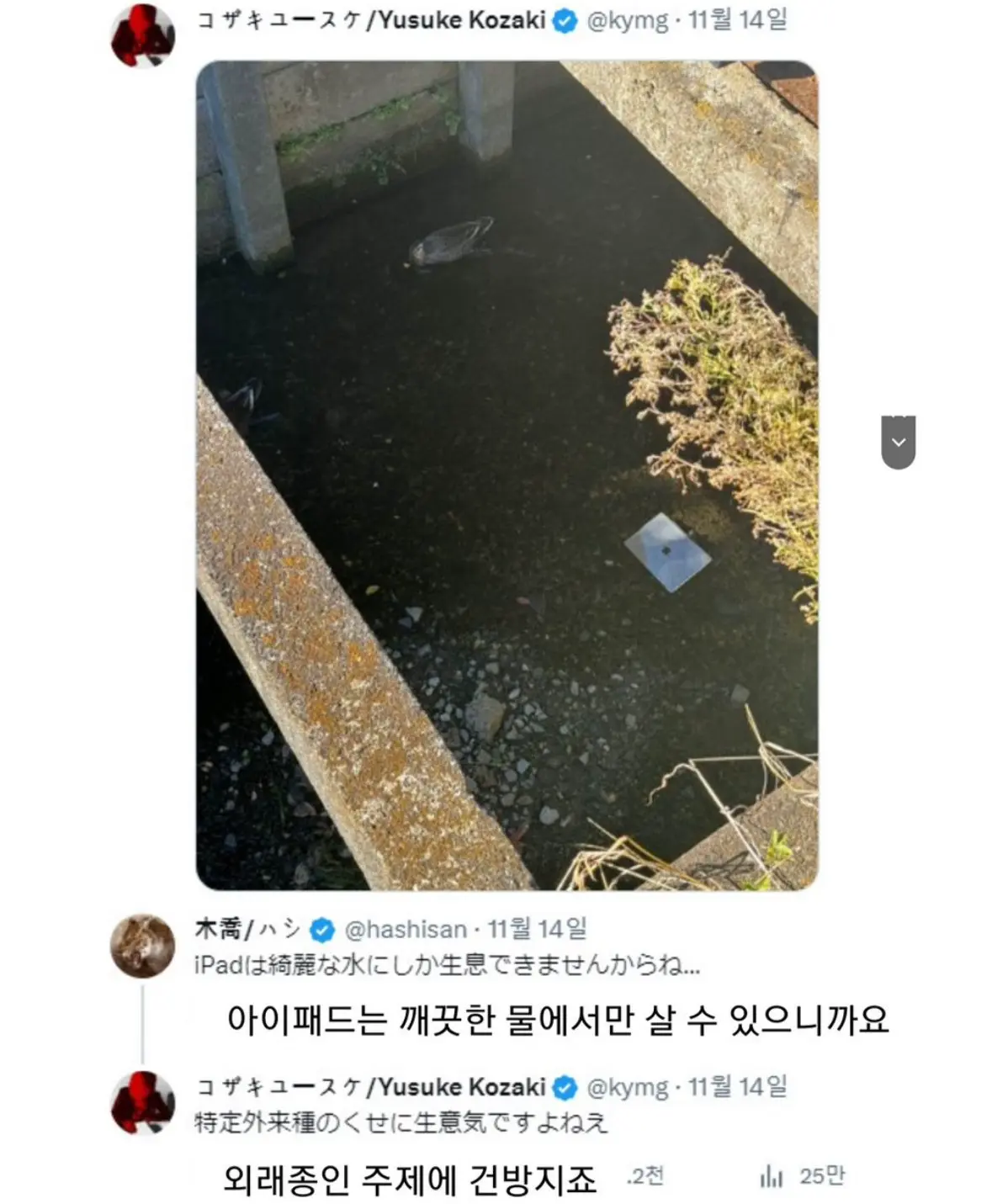하천이 깨끗해지자 외래종 출물 | mbong.kr 엠봉