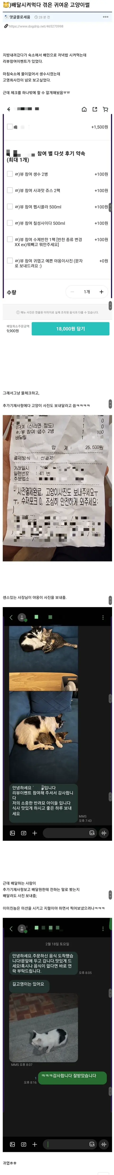 배달 시켜먹다 겪은 귀여운 고양이 썰...jpg | mbong.kr 엠봉