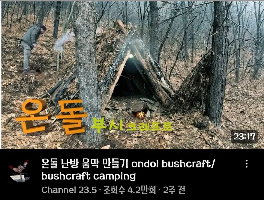 산에서 불 피우고 벌목까지 하는 캠핑 | mbong.kr 엠봉