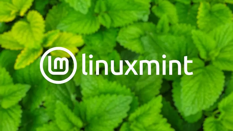 Linux Mint 팀은 향후 버전에 대한 계획을 공유합니다. | mbong.kr 엠봉