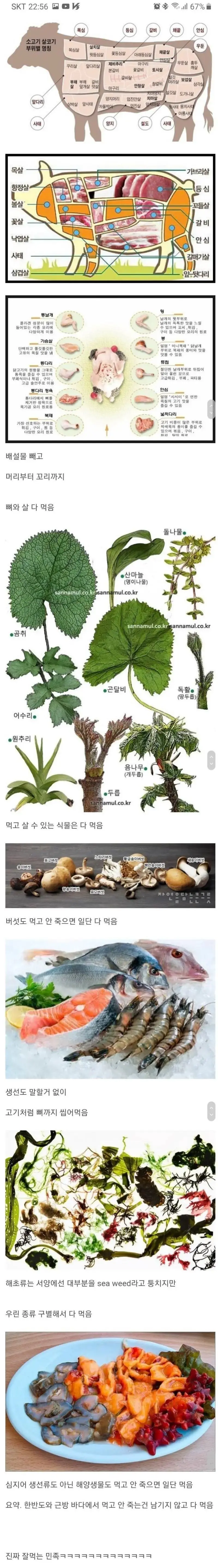 한국인의 식성 요약 | mbong.kr 엠봉