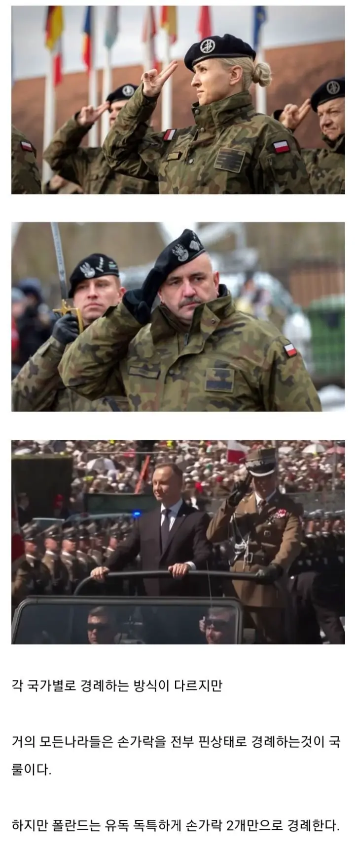 폴란드 군인이 두 손가락으로 경례하는 이유.jpg | mbong.kr 엠봉