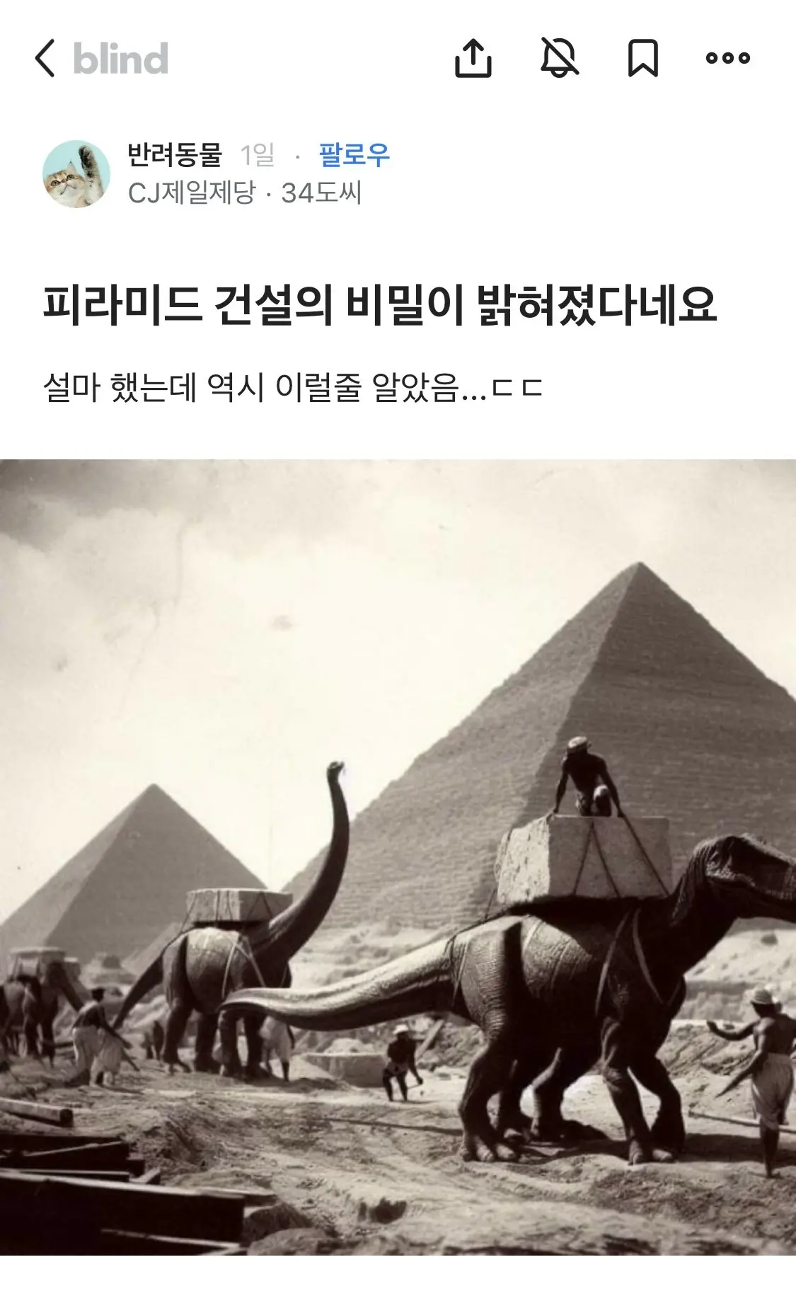 피라미드의 비밀이 밝혀졌다는 반려동물 블라인 | mbong.kr 엠봉