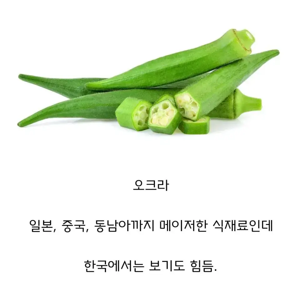 동아시아 국가중 한국에서만 잘 안 먹는 채소 | mbong.kr 엠봉