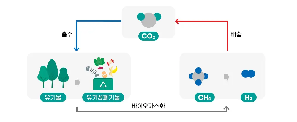 ‘살아있는’ 수소의 탄생! 바이오수소 생산 기술 A to Z | mbong.kr 엠봉