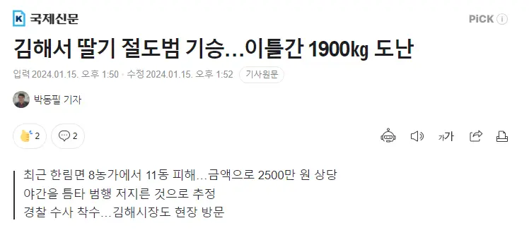 김해에서 이틀간 딸기 1900kg 도난당해....JPG | mbong.kr 엠봉