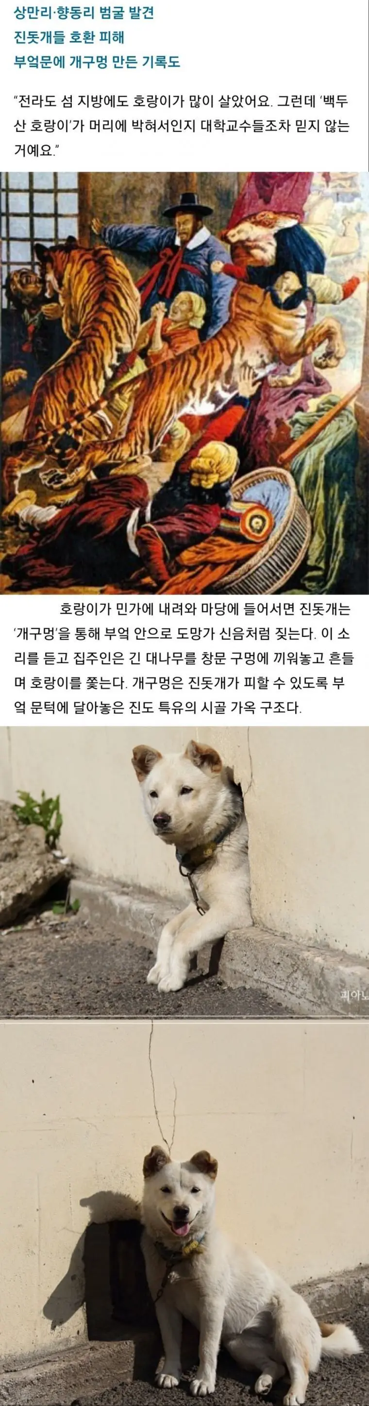 한국에서 개구멍이 생겨난 이유.jpg | mbong.kr 엠봉
