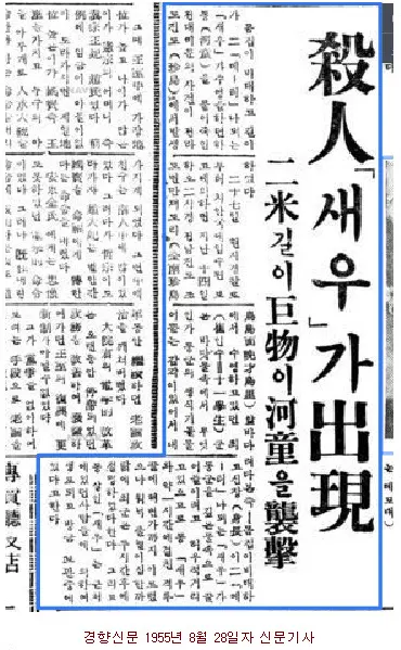 기이한 신문 기사, 1955년 진도 거대 새우 사건 | mbong.kr 엠봉