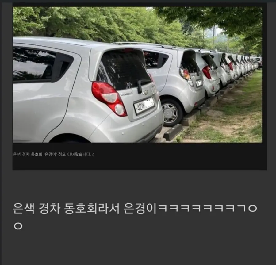 경차 동호회 은경이 정모현장 | mbong.kr 엠봉