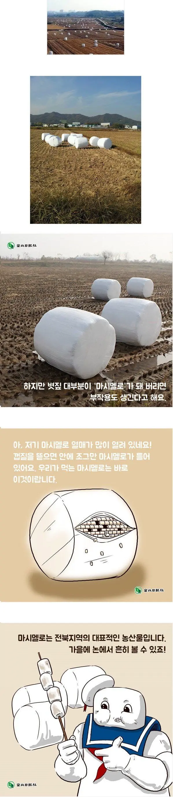 한국인은 모르는 한국 특산물 ㄷㄷ..jpg | mbong.kr 엠봉