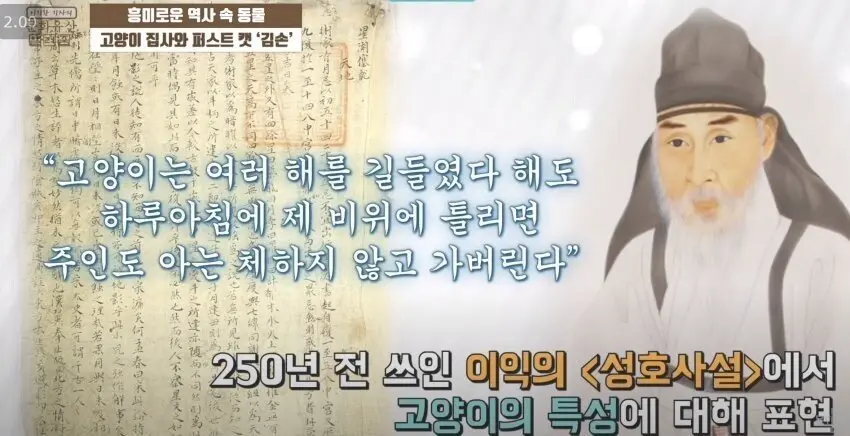 조선시대 고양이에 대한 기록.jpg | mbong.kr 엠봉