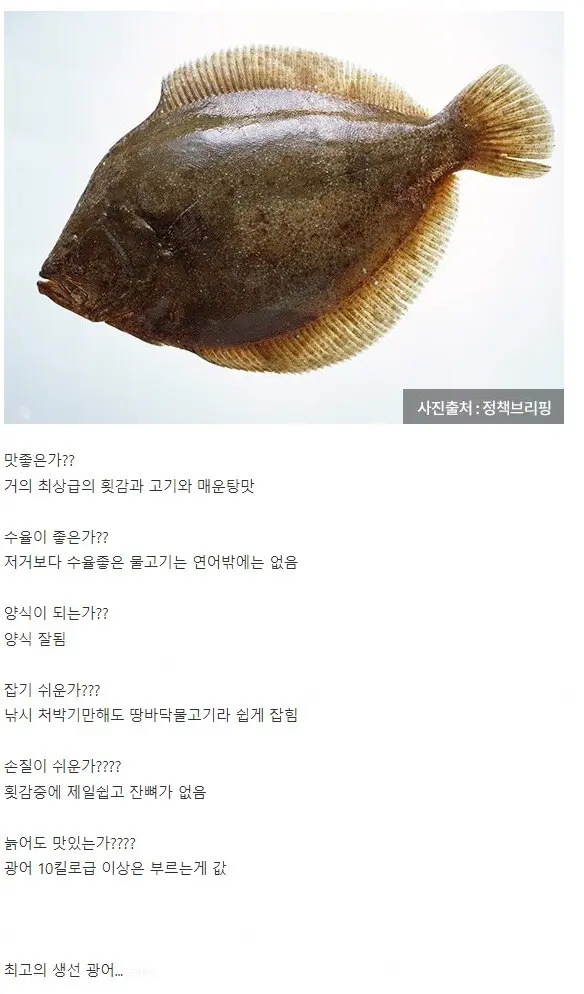 인류 역사상 최고의 생선 | mbong.kr 엠봉