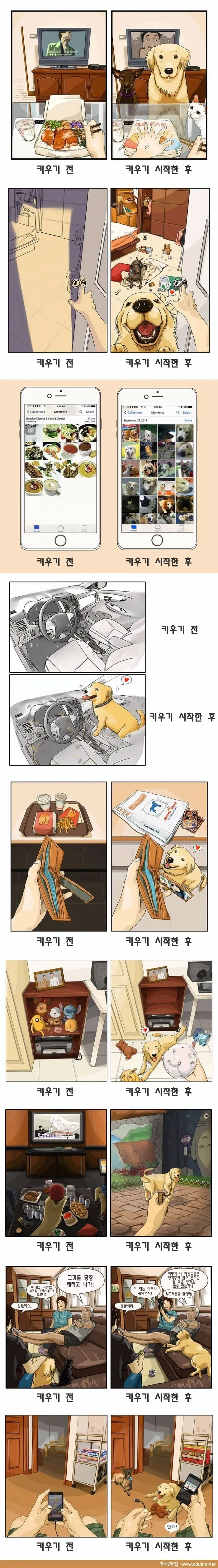 반려동물을 키우기 전과 후.manhwa | mbong.kr 엠봉