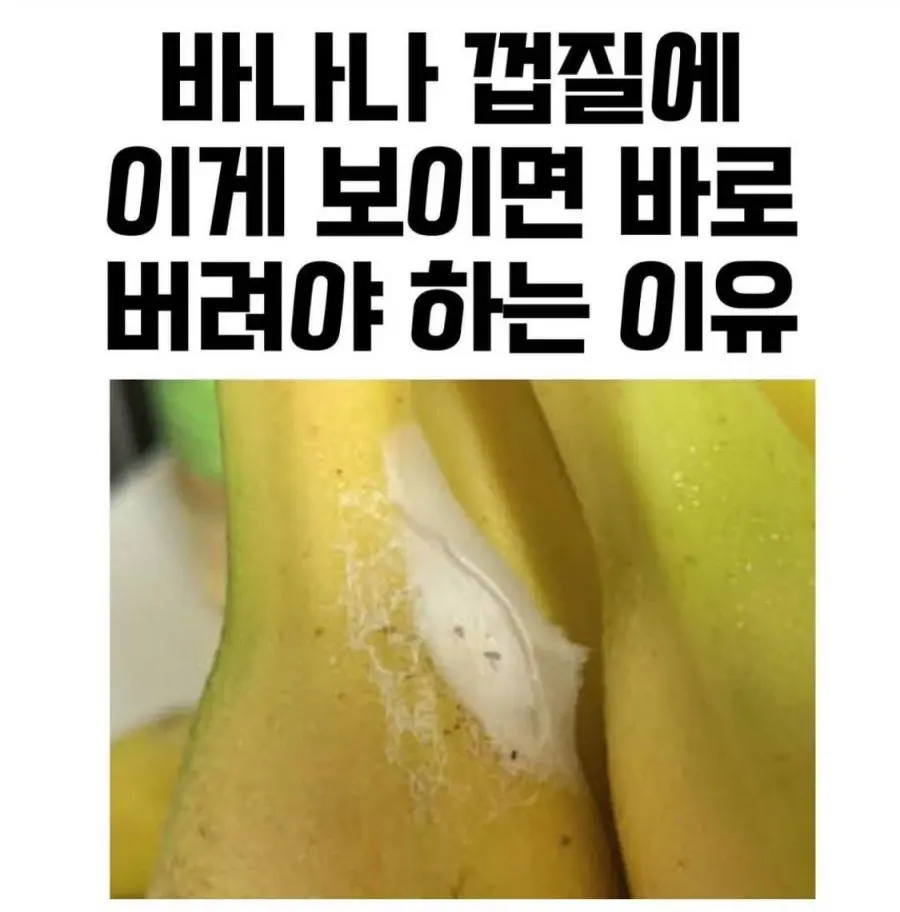 바나나 껍질에 이거 보이면 바로 버려야함 | mbong.kr 엠봉