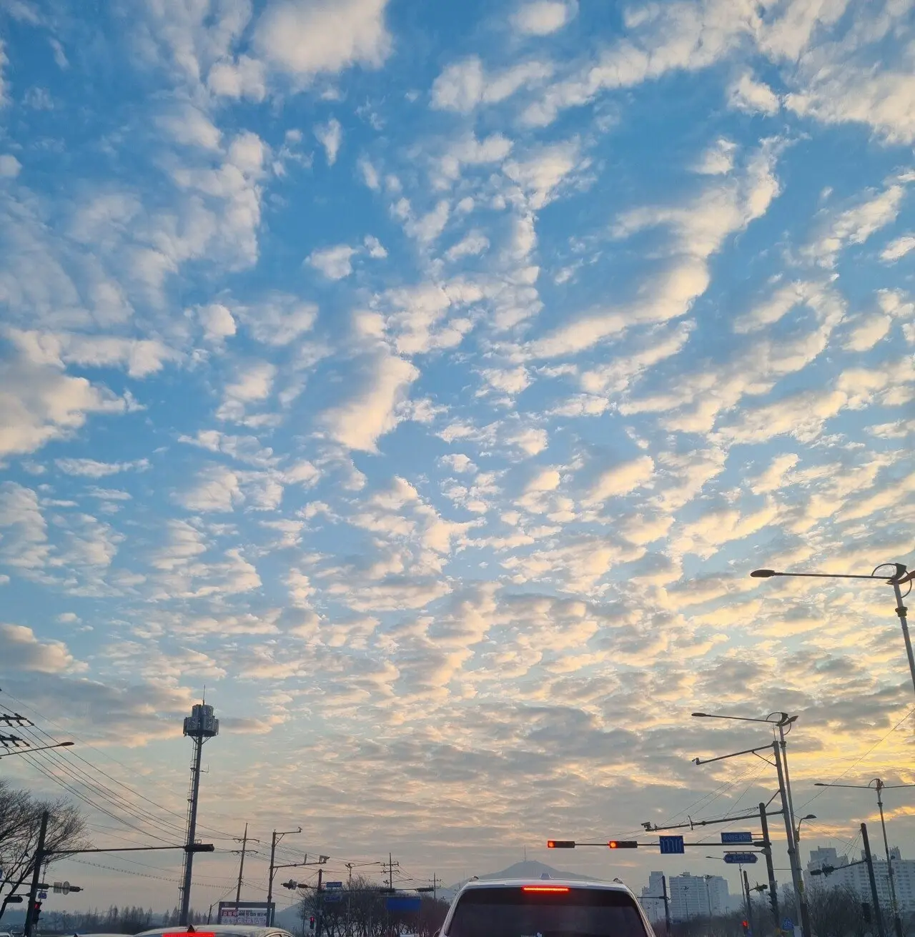 와 오늘 하늘 애니메이션같음 | mbong.kr 엠봉