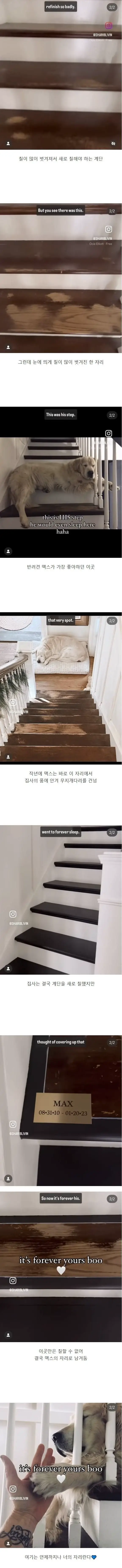 칠이 벗겨진 계단을 칠하지 못한 이유 | mbong.kr 엠봉