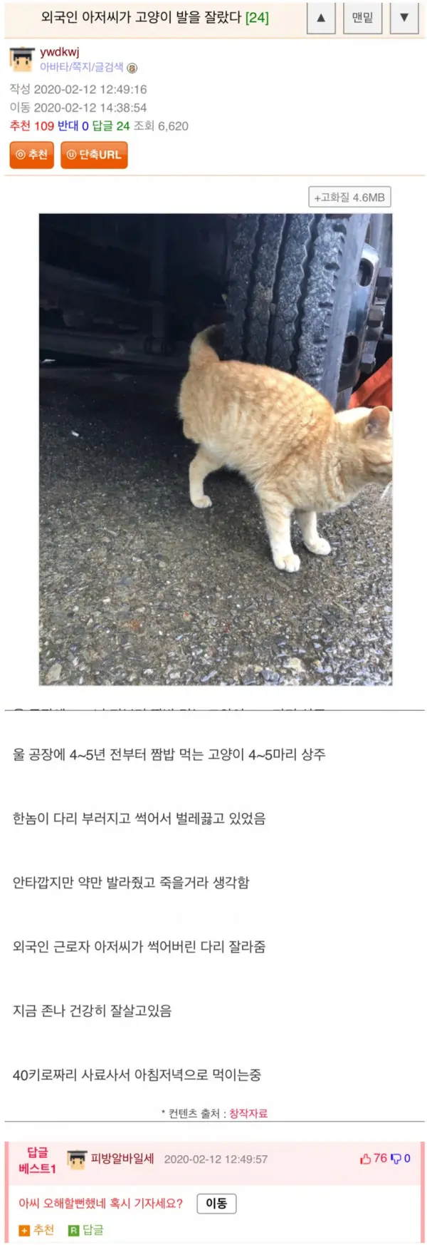외국인 아저씨가 고양이 발을 잘랐다.jpg | mbong.kr 엠봉