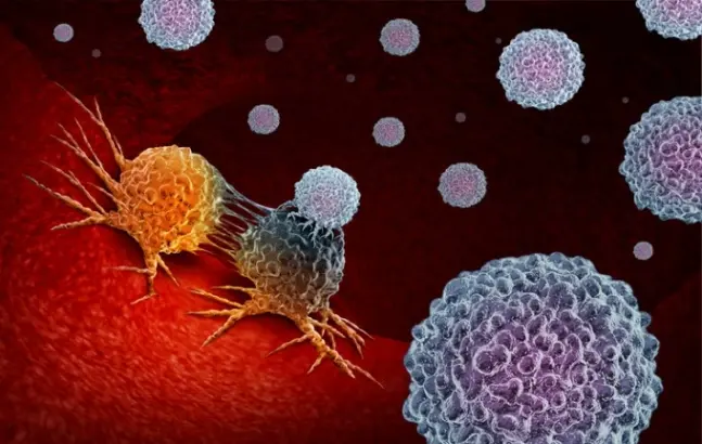 암 치료 새 무기 mRNA 암백신, 영국서 임상 첫 개시 | mbong.kr 엠봉