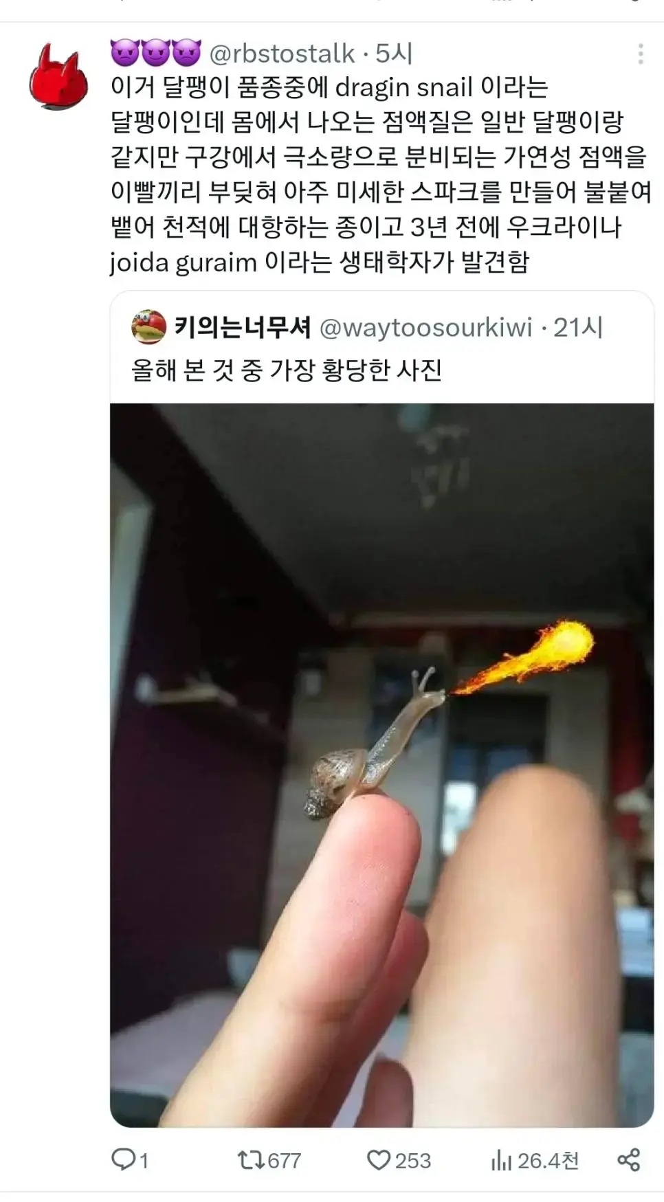 이번에 발견된 충격적인 신종 달팽이 .jpg | mbong.kr 엠봉