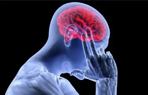 뇌가 늙지 않는 사람들의 7가지 특징 | mbong.kr 엠봉