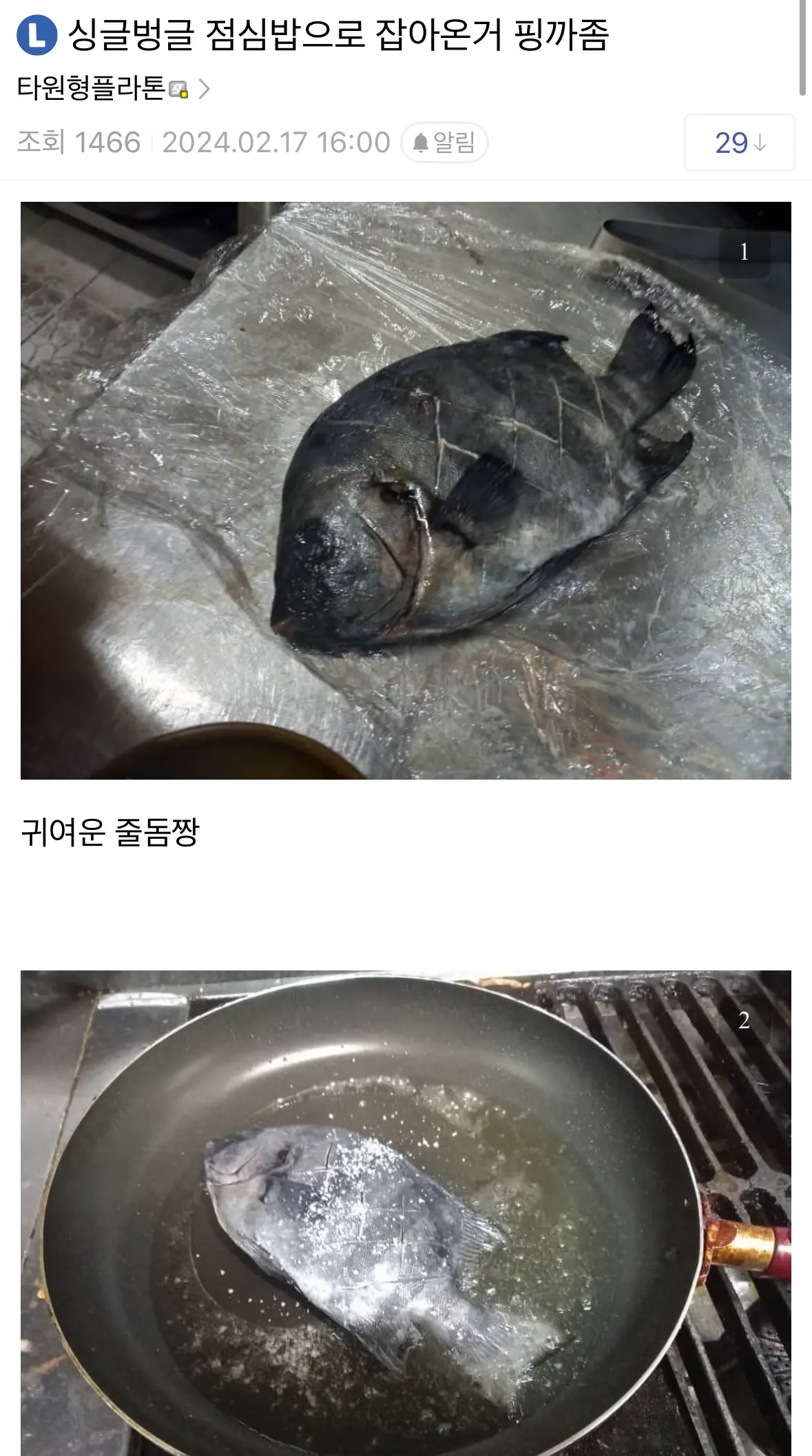 디시인의 돌돔 요리 | mbong.kr 엠봉