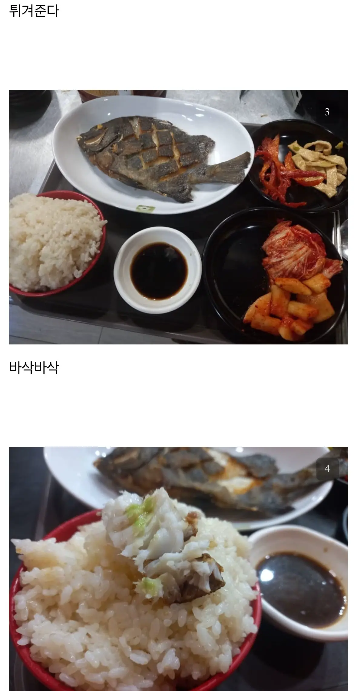 디시인의 돌돔 요리 | mbong.kr 엠봉