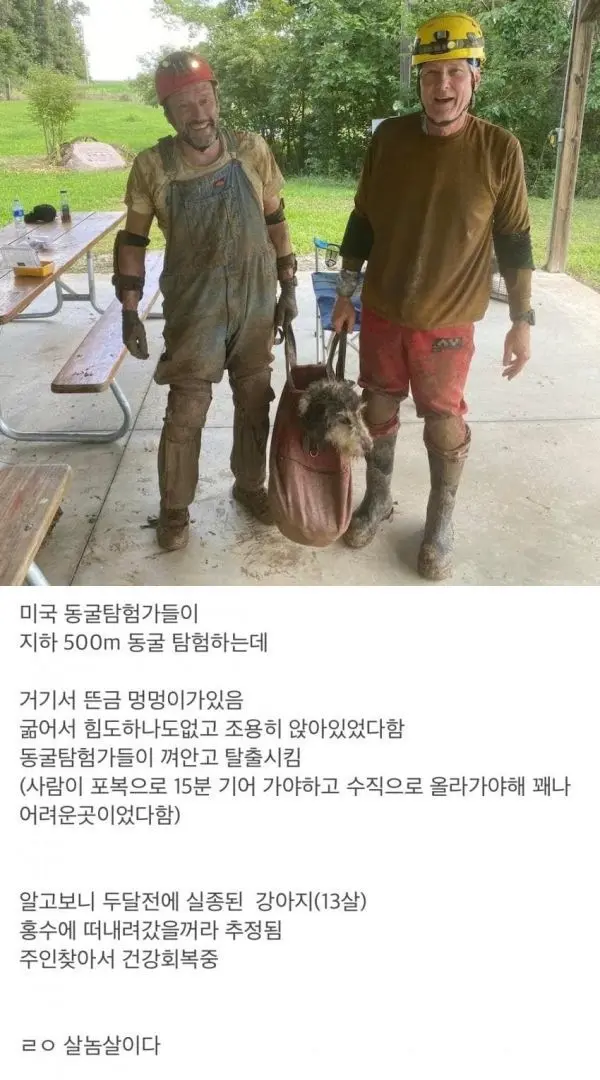 지하 500m 동굴에서 발견한 댕댕이 | mbong.kr 엠봉