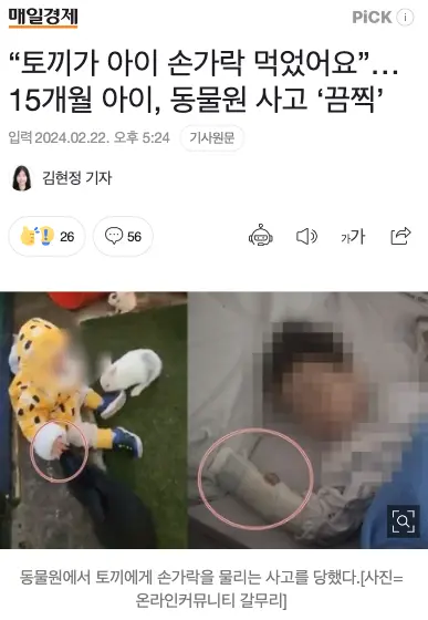 동물원에서 15개월 아이가 토끼에게 손가락 먹히는 사고 당해.news | mbong.kr 엠봉