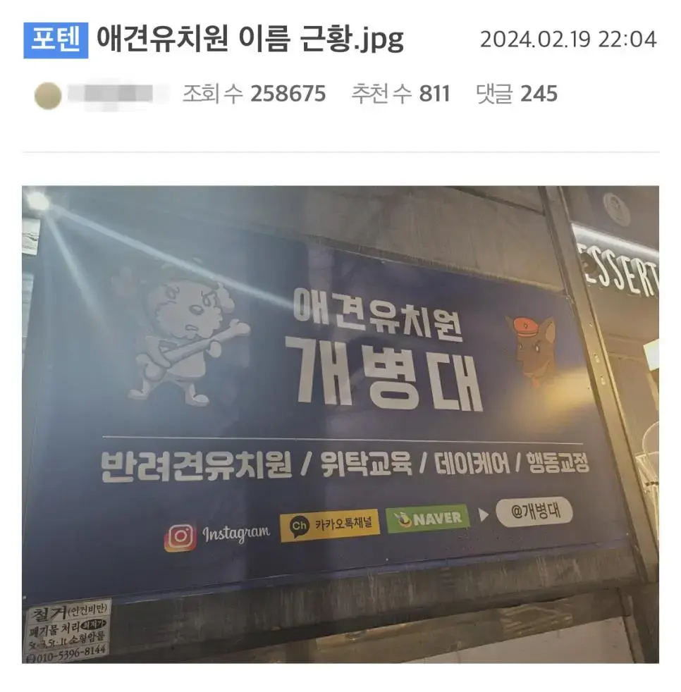 애견유치원 이름 근황 | mbong.kr 엠봉