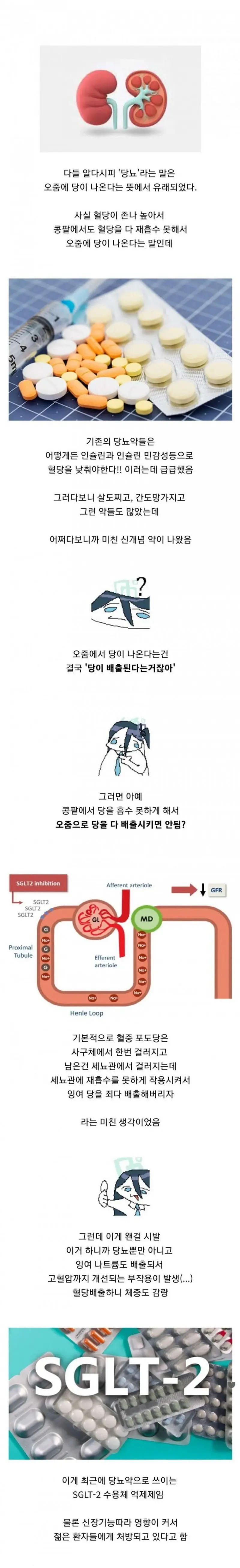 혁신적인 당뇨병 치료제 개발 | mbong.kr 엠봉