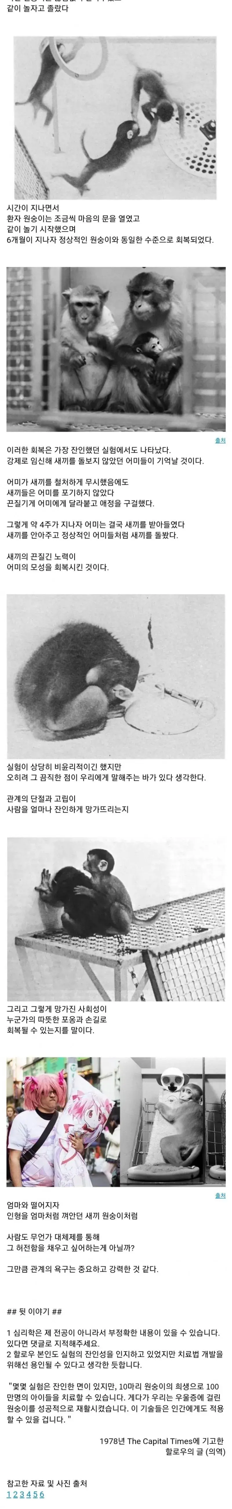 아기원숭이 절망의 구덩이 실험 | mbong.kr 엠봉