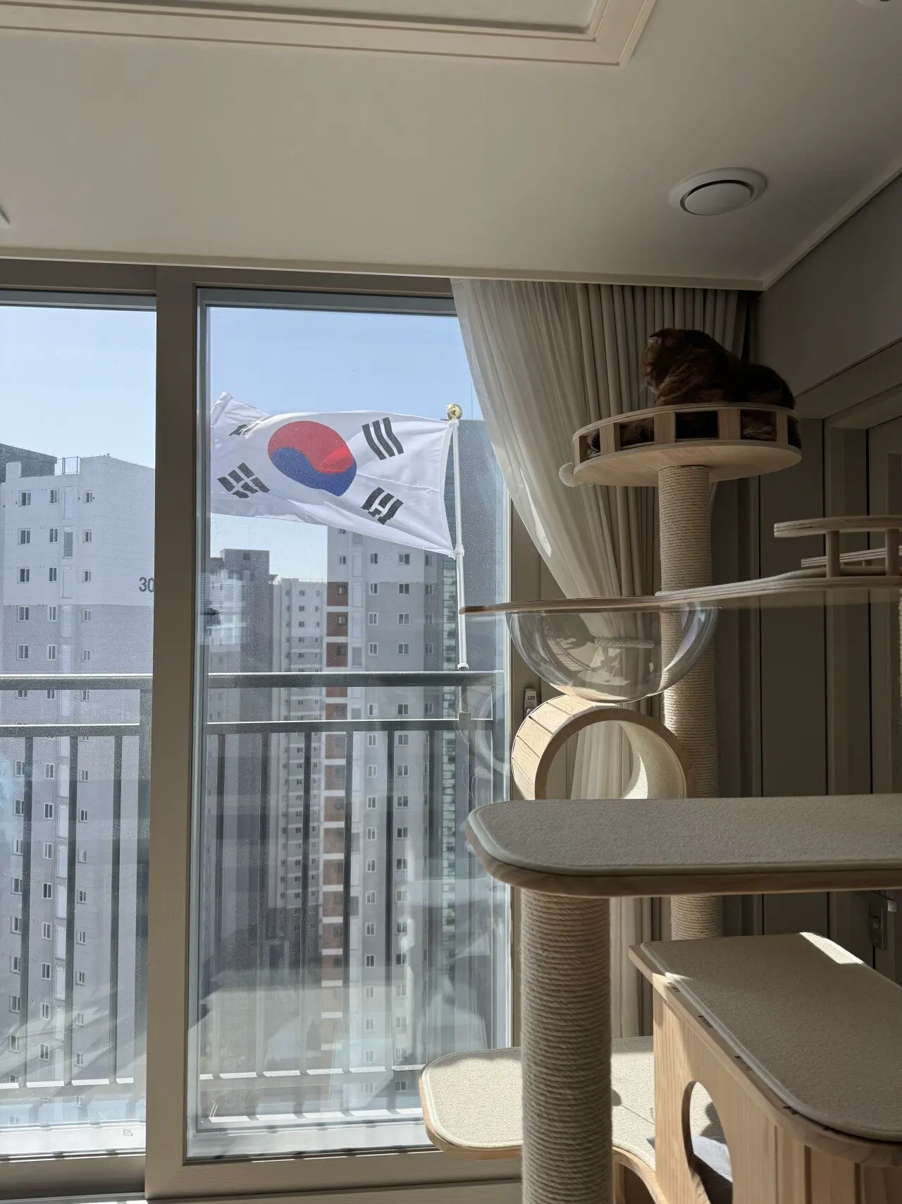 애국묘 태극기 인증 | mbong.kr 엠봉