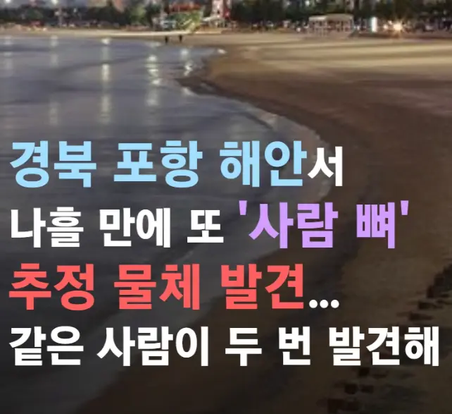 경북 포항 해산서 '사람 뼈 추정 물체 발견'ㄷㄷ | mbong.kr 엠봉